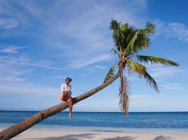 보라카이-여행-투어-리조트-액티비티-코코넛나무